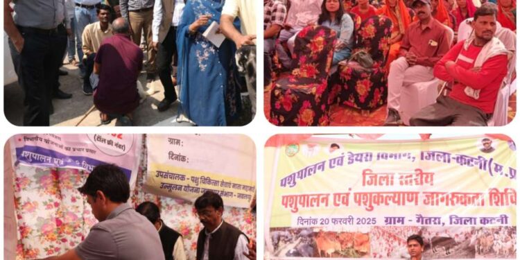 कलेक्टर श्री यादव पहुंचे गैतरा गांव  जिला स्तरीय पशुपालन एवं पशु कल्याण जागरूकता शिविर में हुए शामिल