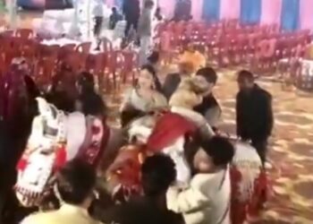 मध्यप्रदेश के श्योपुर जिले में शादी समारोह के दौरान घोड़ी पर बैठे दूल्हे की अचानक मौत हो गई VIDEO
