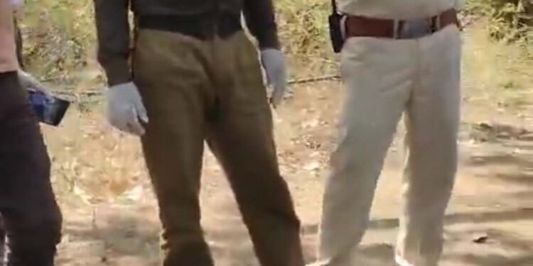 उमरिया बांधवगढ़ टाइगर रिजर्व आपसी संघर्ष में शावक की मौत,खितौली परिक्षेत्र के सलखनिया बीट के कक्ष क्रमांक 384 में मिला शव VIDEO