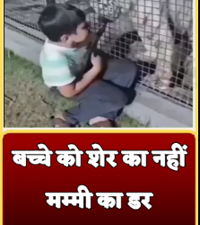 बच्चे को शेर का नहीं… मम्मी का डर देखिऐ VIDEO