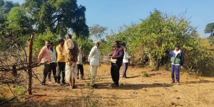 जिले में 89.36 फीसदी सीमांकन प्रकरणों का हुआ निपटारा लंबित सीमांकन प्रकरणों के निराकरण के मामले में तहसील कटनी नगर अग्रणी
