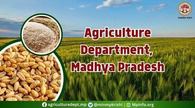 समर्थन मूल्य पर चना, मसूर एवं सरसों उपार्जन के लिए पंजीयन 10 मार्च तक चना के लिए 5650 रुपये, मसूर के लिए 6700 रुपये एवं सरसों के लिए 5950 रुपये प्रति क्विंटल की दर घोषित