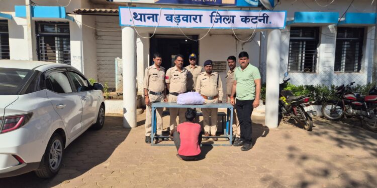 बड़वारा पुलिस ने की अवैध मादक पदार्थ गांजा तस्कर के विरुद्ध बड़ी कार्यवाही