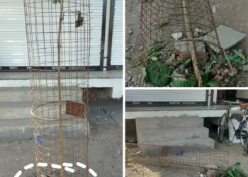 नगर में दुकान के सामने लगे पेड़ों को दुकानदार तोड़ रहे हैं..!  क्या ऐसे बनेगा विधायक घनश्याम चंद्रवंशी का हरा-भरा कालापीपल…।