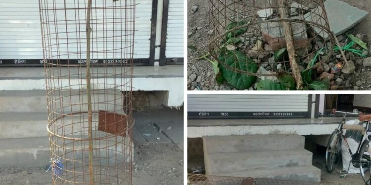नगर में दुकान के सामने लगे पेड़ों को दुकानदार तोड़ रहे हैं..!  क्या ऐसे बनेगा विधायक घनश्याम चंद्रवंशी का हरा-भरा कालापीपल…।