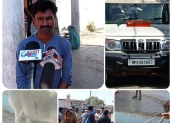 रीठी क्षेत्र मैं परधियो का आतंक गाय के पेट मैं घुसेड़ी बरछी,,,