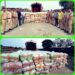 पुलिस ने बड़ी कार्रवाई करते हुए ट्रक में परिवहन किए जा रहे 3000 किलो से अधिक अवैध मादक पदार्थ गांजा को जब्त किया  कीमत 6 करोड़ रुपए से अधिक बताई जा रही है।