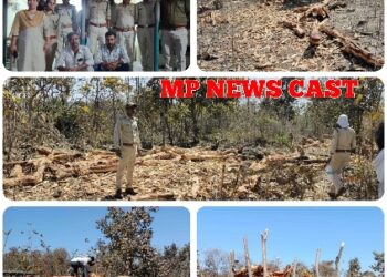 वन विभाग की टीम ने अवैध रूप से संग्रहित खैर की 67 नग लकडी जब्त की।