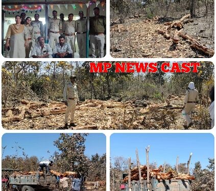 वन विभाग की टीम ने अवैध रूप से संग्रहित खैर की 67 नग लकडी जब्त की।
