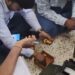 अहमदाबाद के बंद फ्लैट में भरा था 90 किलो सोना और कैश, ATS के अधिकारी भी देखकर चौंक गए VIDEO