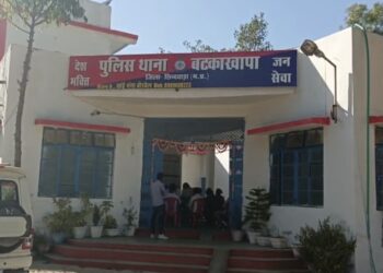 *आगामी त्यौहारों को देखते हुए थाना बटकाखापा में शांति समिति की बैठक हुई संपन्न*