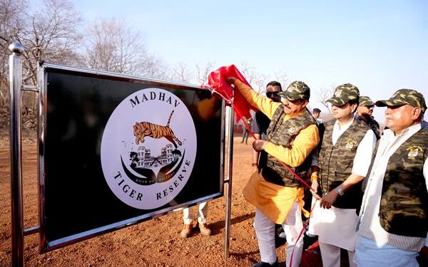 प्रदेश में वन्य जीव पर्यटन से होगी रोजगार में वृद्धि : मुख्यमंत्री डॉ. यादव