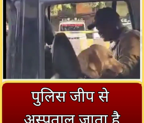 पुलिस जीप से अस्पताल जाता है इंस्पेक्टर साहब का कुत्ता… VIDEO VIRAL देखिऐ