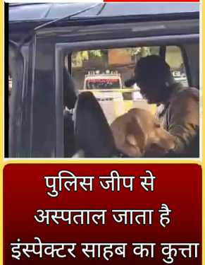 पुलिस जीप से अस्पताल जाता है इंस्पेक्टर साहब का कुत्ता… VIDEO VIRAL देखिऐ