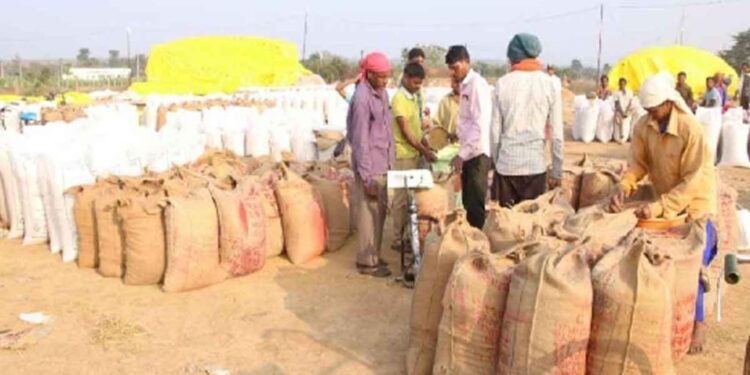 समर्थन मूल्य पर अब तक 181 किसानों से 1169 मीट्रिक टन गेहूँ उपार्जित