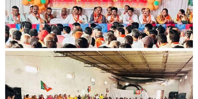 कालापीपल विधानसभा मे भाजपा के सक्रिय सदस्यों का सम्मेलन :-तीन सत्रों में संपन्न हुआ