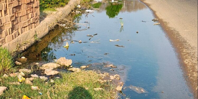 गंदे पानी से आ रही बदबूदार दुर्गंध, लोगों में बीमारी का फैला डर  उमरियापान- ढीमरखेड़ा मार्ग के मडेरा कॉलोनी में सड़क किनारे जमे गन्दे पानी में बिलबिला रहे कीड़े