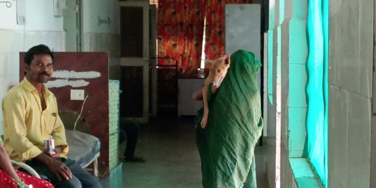 रीठी सरकारी अस्पताल में कुत्ते को लेकर पहुंची महिला,,,।