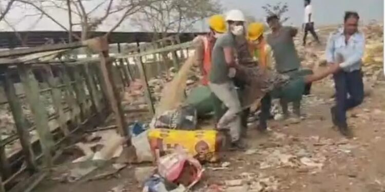 *कटनी एमएसडब्ल्यू प्लांट में दुखद हादसा,महिला और मासूम बालिका की मौत*  कचरे के कंटेनर उठाने वाला सेड आंधी तूफान में नीचे गिरा  कचरा ढोने वाले वाहन में अस्पताल पहुंचाई गई महिला और मासूम की लाश देखे VIDEO