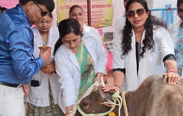 *पशुपालन एवं डेयरी विभाग छिन्दवाड़ा व प्रांतीय राजपत्रित पशु चिकित्सा संघ छिन्दवाड़ा के संयुक्त तत्वाधान में विश्व पशु चिकित्सा दिवस के उपलक्ष्य में किया गया शिविर का आयोजन* *शिविर में 600 पशुओं का किया गया उपचार एवं टीकाकरण*