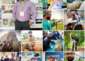 *वन्य जीव अंतर्राष्ट्रीय सम्मेलन के तकनीकी सत्र में विशेषज्ञों का मंथन*