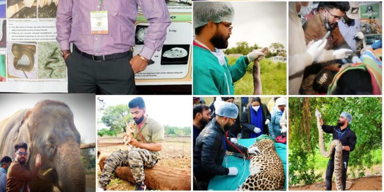 *वन्य जीव अंतर्राष्ट्रीय सम्मेलन के तकनीकी सत्र में विशेषज्ञों का मंथन*