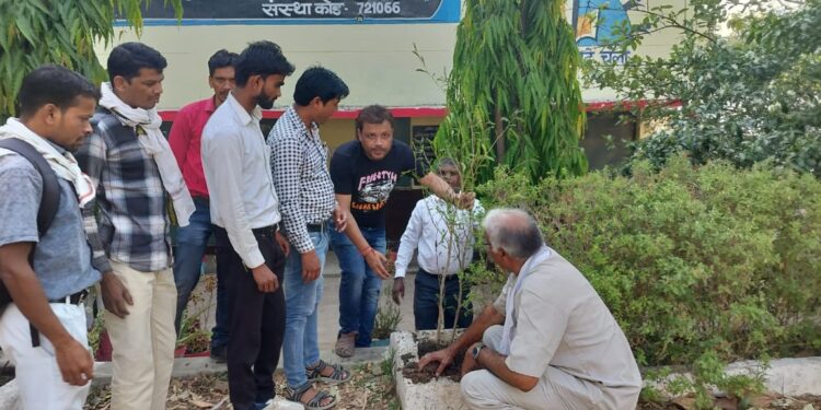 जल संवर्धन अभियान के अंतर्गत शा.कन्या शाला प्रांगण में पौधारोपण हुआ