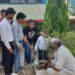 जल संवर्धन अभियान के अंतर्गत शा.कन्या शाला प्रांगण में पौधारोपण हुआ