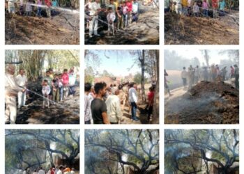 अचानक एक घूरे से उठी चिंगारी कई बीघा गेहूं सहित गृहस्थी जलकर हुई राख