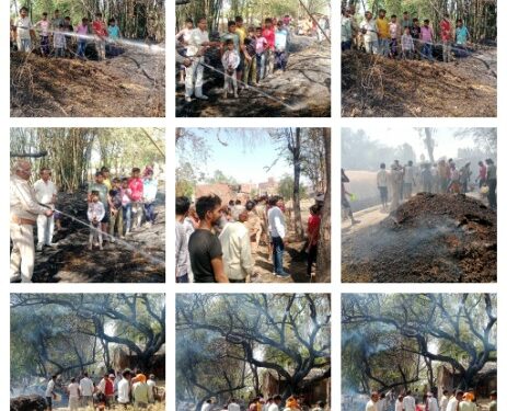 अचानक एक घूरे से उठी चिंगारी कई बीघा गेहूं सहित गृहस्थी जलकर हुई राख