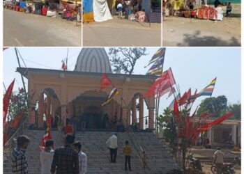 आज होंगे पाली के जवारे विसर्जन,,,