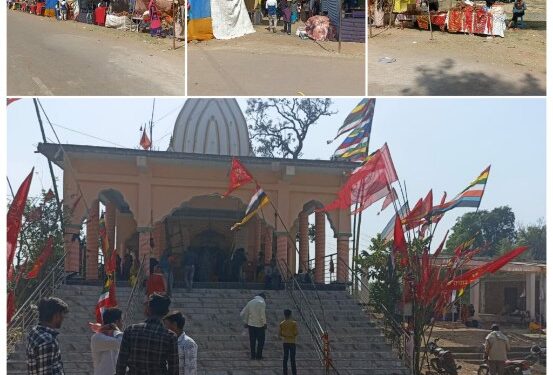 आज होंगे पाली के जवारे विसर्जन,,,