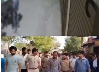 MP में पशु संग पाप! रात के अंधेरे में आरोपी की घिनौनी करतूत, सोशल मीडिया पर बवाल !!