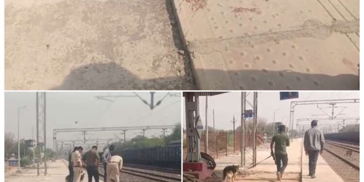 *कटनी के साउथ स्टेशन के पीछे मिला खून से लथपत शव* *मौके पर पहुंची रंगनाथ पुलिस ने शुरू की जांच पड़ताल* *देखिए VIDEO*