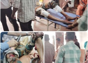 *सतपुड़ा टाइगर रिजर्व फॉरेस्ट के चौकीदार पर 2 भालुओं ने किया हमला ,चौकीदार हुआ गंभीर रूप से घायल*