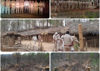 शाहडार के जंगलों के बीचोंबीच 35 हेक्टेयर वनभूमि से हटवाया अतिक्रमण