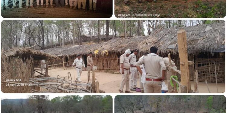 शाहडार के जंगलों के बीचोंबीच 35 हेक्टेयर वनभूमि से हटवाया अतिक्रमण