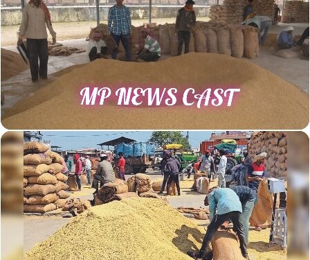 18-19 अप्रैल को अवकाश के बावजूद सभी उपार्जन केन्द्रों पर होगी गेहूं की खरीदी  कलेक्टर श्री यादव के सख्त निर्देश, उपार्जन कार्य में किसी भी प्रकार की लापरवाही बर्दाश्त नहीं की जाएगी