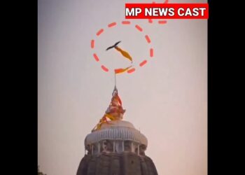 श्री जगन्नाथ मंदिर पर एक अद्भुत और भावविभोर कर देने वाला दृश्य देखने को मिला, जब एक विशाल गरुड़ पक्षी ने मंदिर के शिखर पर लहराता हुआ महाप्रभु का पवित्र ध्वज उठाकर आकाश में उड़ान भरी। यह दृश्य इतना दुर्लभ और चमत्कारी था कि उपस्थित श्रद्धालु स्तब्ध रह गए।