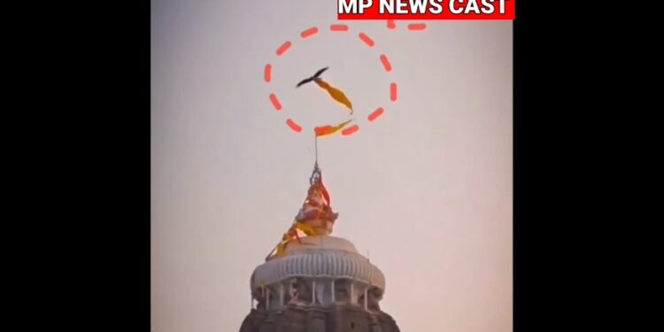 श्री जगन्नाथ मंदिर पर एक अद्भुत और भावविभोर कर देने वाला दृश्य देखने को मिला, जब एक विशाल गरुड़ पक्षी ने मंदिर के शिखर पर लहराता हुआ महाप्रभु का पवित्र ध्वज उठाकर आकाश में उड़ान भरी। यह दृश्य इतना दुर्लभ और चमत्कारी था कि उपस्थित श्रद्धालु स्तब्ध रह गए।