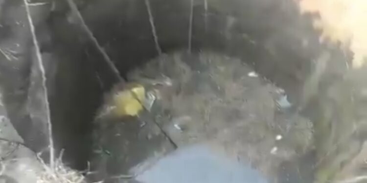 महाराष्ट्र मजदूरों को ले जा रहा ट्रैक्टर कुएं में गिरा, 8 लोगों की मौत,हिंगोली-नांदेड़ सीमा पर आलेगांव शिवरा में हुआ हादसा