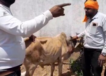 देवास जिले के ग्राम थुरिया में पकड़ा पी कप बाहन महाराष्ट्र वध के लिए जा रही 8 मवेशियों से भरी पिकअप वाहन को बजरंगीयो ने पकड़ा  गोवंश को सुरक्षित गौशाला में पहुंचा