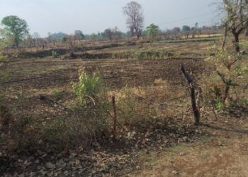 नेगाई में 200 एकड़ सरकारी भूमि में अवैध कब्जा जिला की सामान्य सभा में जिला पंचायत सदस्य कविता पंकज राय ने उठाया मुद्दा