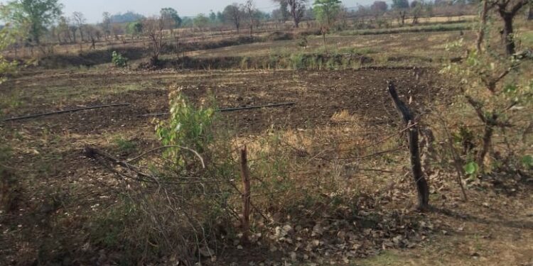 नेगाई में 200 एकड़ सरकारी भूमि में अवैध कब्जा जिला की सामान्य सभा में जिला पंचायत सदस्य कविता पंकज राय ने उठाया मुद्दा