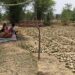ग्रामीणों को मिला रोजगार,, हरा सोना (तेंदूपत्ता) संग्रहण चालू,,,फड़ो मैं नही कोई व्यवस्थाएं,,