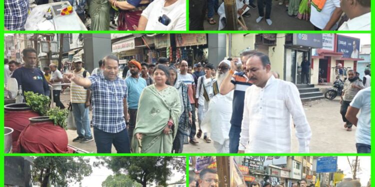 *महानगरों की तर्ज पर नगर के पोलों में लगेंगी डेकोरेटिव लाइट* *डेकोरेटिव पोल की रोशनी से जगमगाएगा बी.डी.अग्रवाल वार्ड एवं गुरुनानक वार्ड*  *नगर विकास के साथ सुंदरता प्रदान करने महापौर पार्षद बिट्टू दंपत्ति द्वय का नवाचार* *41.51 लाख रुपये की लागत से कराये जाने वाले विकास कार्य का भूमिपूजन महापौर एवं जनप्रतिनिधियों की मौजूदगी में संपन्न* 