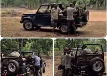 बांधवगढ़ टाइगर रिजर्व में सफारी में नियमो का उल्लंघन-जिप्सी का अवैध प्रवेश बिना नंबर बिना रोस्टर के सफारी करने के साथ पर्यटक जंगल में उतरकर घूमते हुए दिखाई दिए।