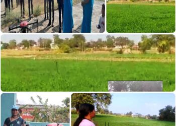 सफलता की कहानी”  “स्वावलंबी महिला, सशक्त राष्ट्र”