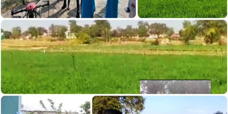 सफलता की कहानी” “स्वावलंबी महिला, सशक्त राष्ट्र”