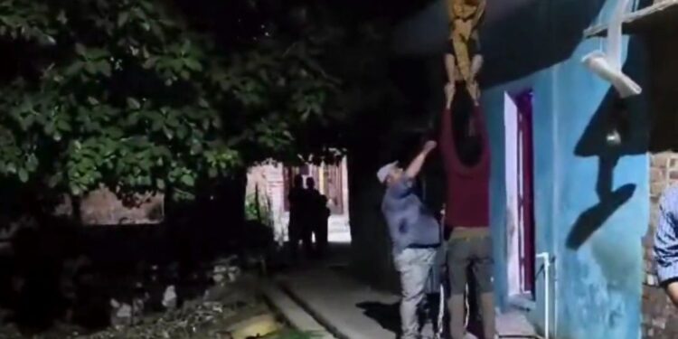 ब्रेकिंग   पति ने पत्नी को छत से उल्टा लटकाकर पीटा  मामूली कहासुनी के बाद पति ने पत्नी को पीटा आवाज सुनकर पड़ोसियों ने बचाई महिला की जान घटना का वीडियो सोशल मीडिया पर हुआ वायरल
